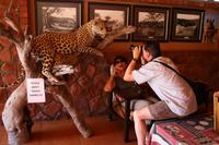 Leopard - nun haben wir die Big 5 komplett &ndash; &copy; Annett Müller (Eberhardt TRAVEL)