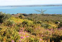 Langebaan &ndash; &copy; Annett Müller (Eberhardt TRAVEL)