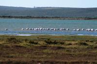 Langebaan &ndash; &copy; Annett Müller (Eberhardt TRAVEL)