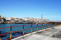 Lamberts Bay &ndash; &copy; Annett Müller (Eberhardt TRAVEL)