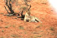 Einer von vielen &ndash; &copy; Annett Müller (Eberhardt TRAVEL)