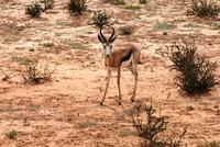 IMG_0310 &ndash; &copy; Annett Müller (Eberhardt TRAVEL)