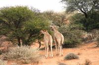 IMG_0342 &ndash; &copy; Annett Müller (Eberhardt TRAVEL)