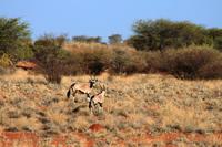 IMG_0377 &ndash; &copy; Annett Müller (Eberhardt TRAVEL)
