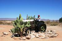 Wüstentaugliches Cabrio &ndash; &copy; Annett Müller (Eberhardt TRAVEL)
