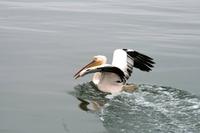 IMG_0554 &ndash; &copy; Annett Müller (Eberhardt TRAVEL)