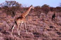 IMG_0661 &ndash; &copy; Annett Müller (Eberhardt TRAVEL)