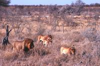 IMG_0666 &ndash; &copy; Annett Müller (Eberhardt TRAVEL)