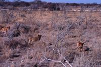 IMG_0671 &ndash; &copy; Annett Müller (Eberhardt TRAVEL)