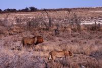 IMG_0673 &ndash; &copy; Annett Müller (Eberhardt TRAVEL)