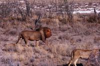 IMG_0674 &ndash; &copy; Annett Müller (Eberhardt TRAVEL)