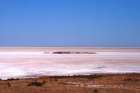Etosha Pfanne &ndash; &copy; Annett Müller (Eberhardt TRAVEL)