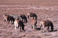 IMG_0688 &ndash; &copy; Annett Müller (Eberhardt TRAVEL)