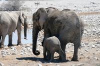 IMG_0709 &ndash; &copy; Annett Müller (Eberhardt TRAVEL)