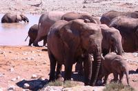 IMG_0731 &ndash; &copy; Annett Müller (Eberhardt TRAVEL)