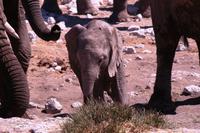 IMG_0732 &ndash; &copy; Annett Müller (Eberhardt TRAVEL)