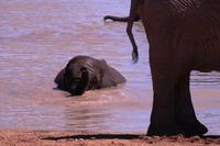 Huhu! &ndash; &copy; Annett Müller (Eberhardt TRAVEL)
