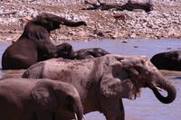 IMG_0766 &ndash; &copy; Annett Müller (Eberhardt TRAVEL)