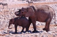 IMG_0771 &ndash; &copy; Annett Müller (Eberhardt TRAVEL)