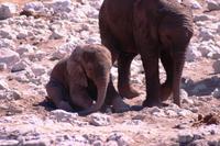 IMG_0775 &ndash; &copy; Annett Müller (Eberhardt TRAVEL)