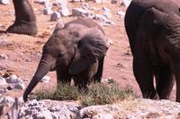 IMG_0776 &ndash; &copy; Annett Müller (Eberhardt TRAVEL)