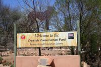 Cheetah Conservation Fund &ndash; &copy; Annett Müller (Eberhardt TRAVEL)