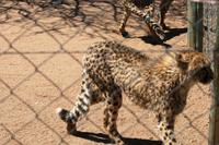 IMG_0840 &ndash; &copy; Annett Müller (Eberhardt TRAVEL)