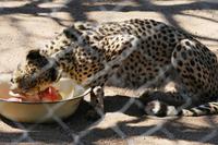 IMG_0845 &ndash; &copy; Annett Müller (Eberhardt TRAVEL)