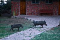 IMG_0854 &ndash; &copy; Annett Müller (Eberhardt TRAVEL)