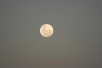 Mond über Kasane &ndash; &copy; Annett Müller (Eberhardt TRAVEL)