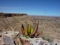 Fish River Canyon &ndash; &copy; Cornelia Ritter (Eberhardt TRAVEL)