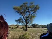 Farm-Tour &ndash; &copy; Cornelia Ritter (Eberhardt TRAVEL)