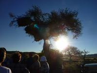Farm-Tour
