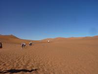 Dead Vlei &ndash; &copy; Cornelia Ritter (Eberhardt TRAVEL)