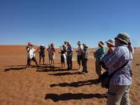 im Dead Vlei &ndash; &copy; Cornelia Ritter (Eberhardt TRAVEL)