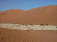 Dead Vlei &ndash; &copy; Cornelia Ritter (Eberhardt TRAVEL)
