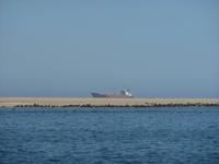 an der Robbenbank.. &ndash; &copy; Cornelia Ritter (Eberhardt TRAVEL)