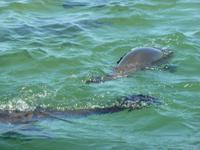 P1120935 &ndash; &copy; Cornelia Ritter (Eberhardt TRAVEL)