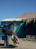 kleine Show-Einlage..  &ndash; &copy; Cornelia Ritter (Eberhardt TRAVEL)