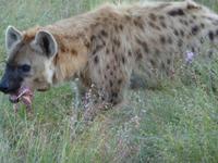 P1130104 &ndash; &copy; Cornelia Ritter (Eberhardt TRAVEL)