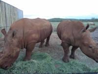 P1130111 &ndash; &copy; Cornelia Ritter (Eberhardt TRAVEL)