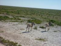 P1130120 &ndash; &copy; Cornelia Ritter (Eberhardt TRAVEL)
