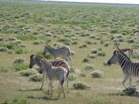 P1130122 &ndash; &copy; Cornelia Ritter (Eberhardt TRAVEL)