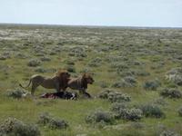 P1130133 &ndash; &copy; Cornelia Ritter (Eberhardt TRAVEL)