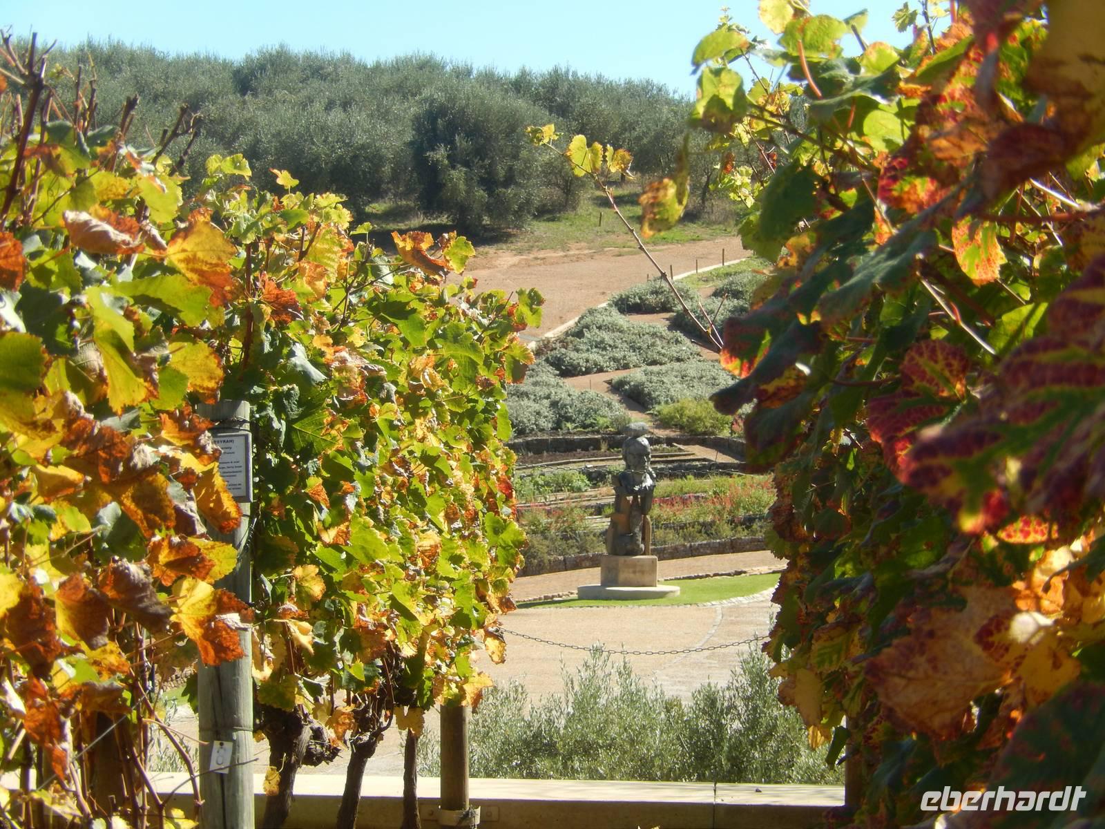 Weingut Tokara &ndash; &copy; René Wächtler (Eberhardt TRAVEL)