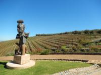 Weingut Tokara &ndash; &copy; René Wächtler (Eberhardt TRAVEL)