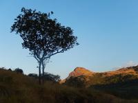 Der Heilige Berg &ndash; &copy; René Wächtler (Eberhardt TRAVEL)