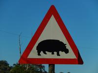 Achtung Hippos! &ndash; &copy; René Wächtler (Eberhardt TRAVEL)