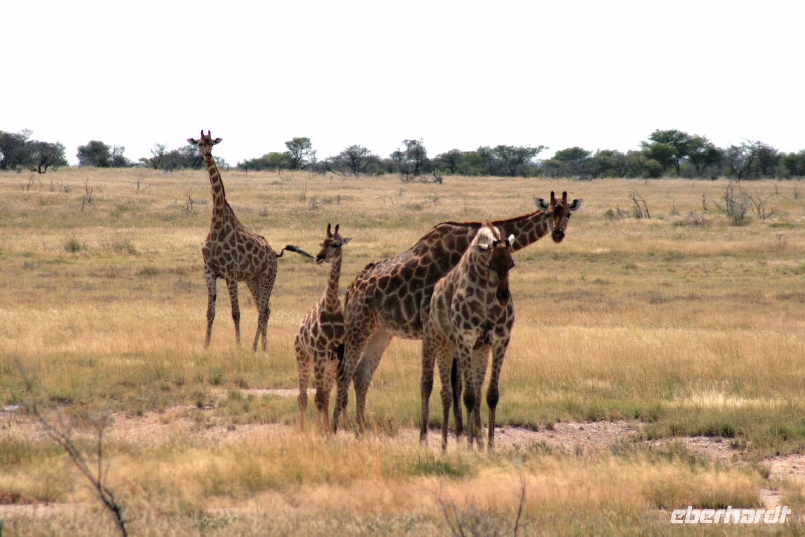 IMG_6389 &ndash; &copy; Annett Müller (Eberhardt TRAVEL)