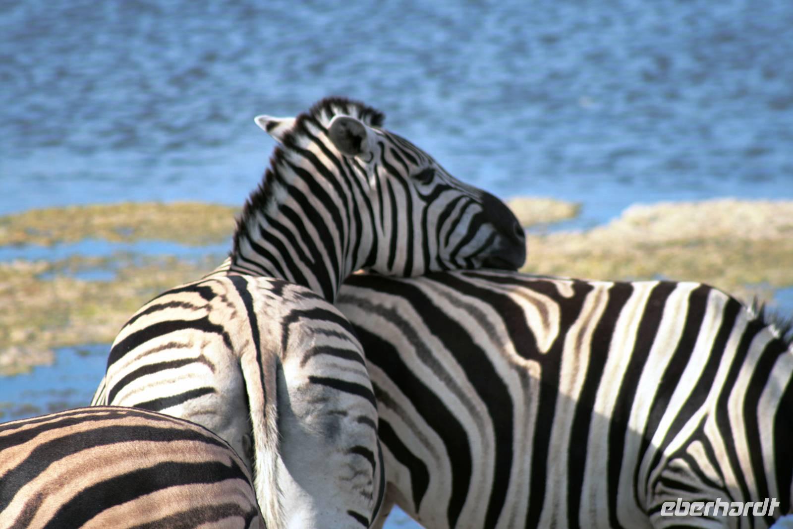 IMG_6518 &ndash; &copy; Annett Müller (Eberhardt TRAVEL)